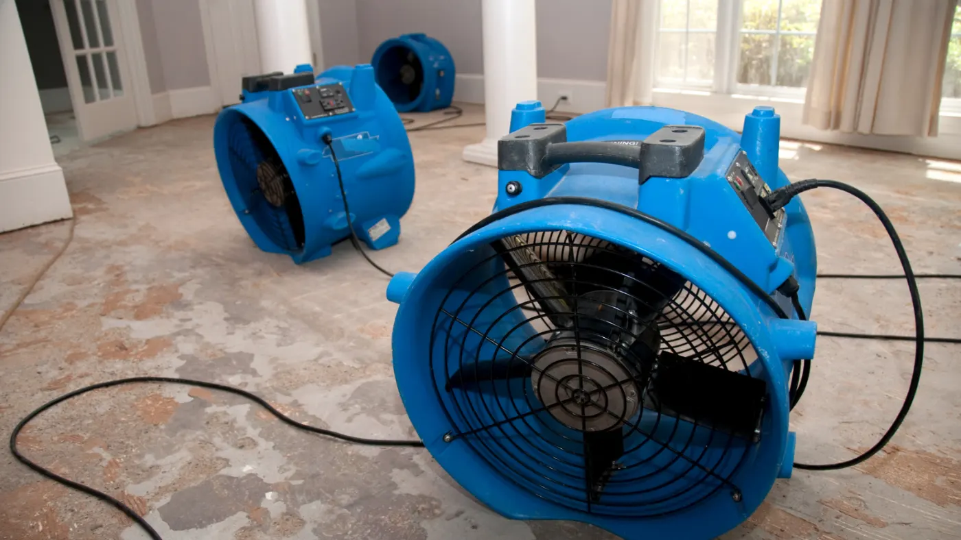 Certified restoration crew at work on Delphi residence